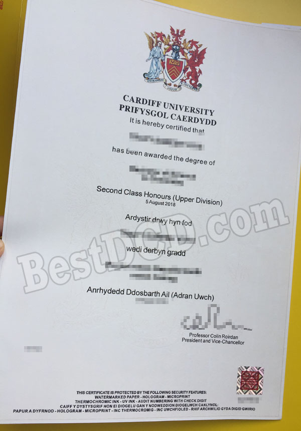 Cardiff University fake degree