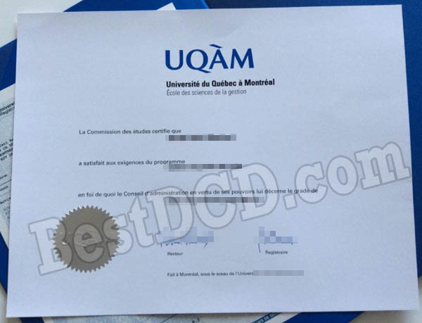 Université du Québec à Montréal fake certificate