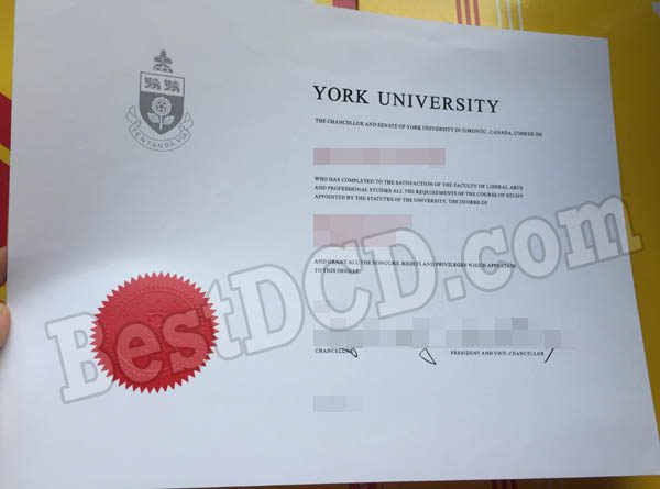 York University fake degree