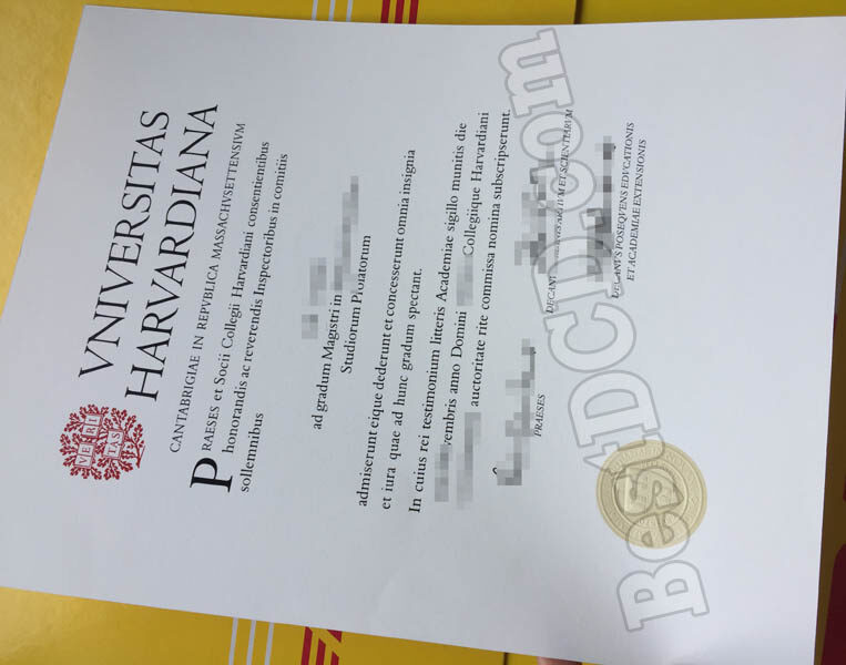 Harvard University fake diploma