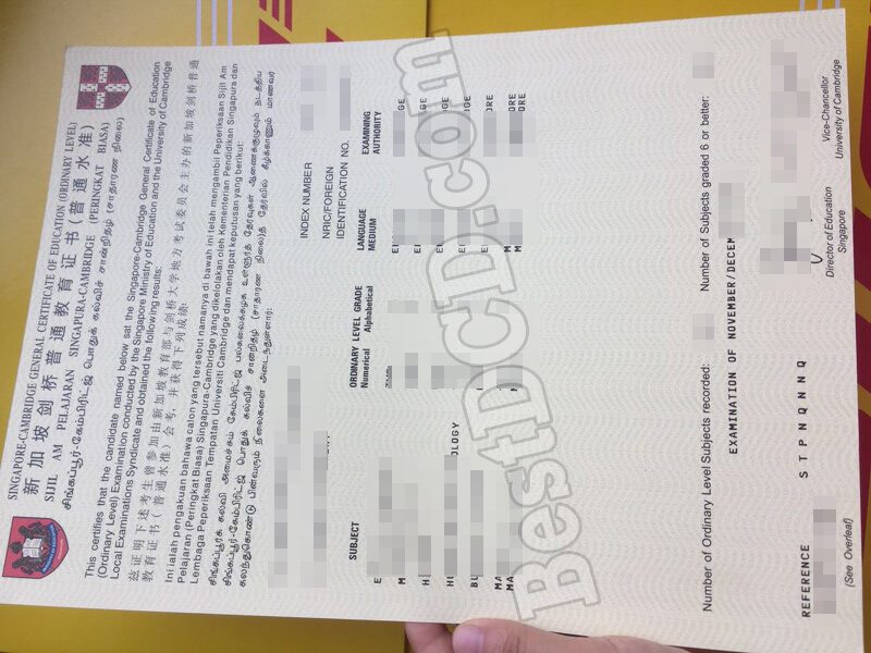 Singapore Cambridge GCE O-level certificate