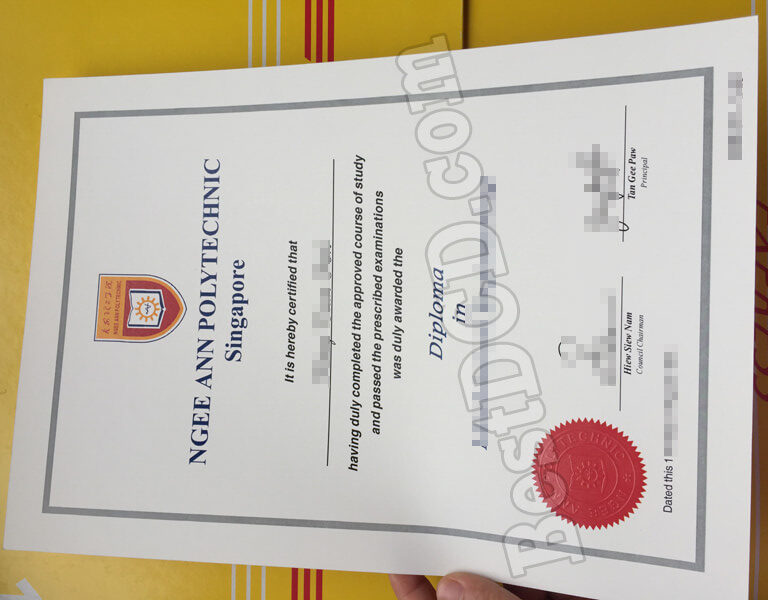 Ngee Ann Polytechnic fake diploma