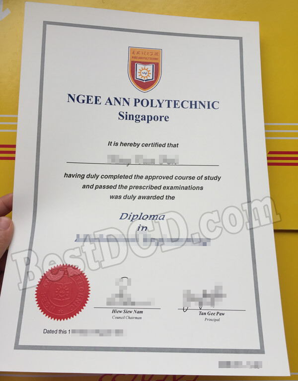 Ngee Ann Polytechnic fake diploma