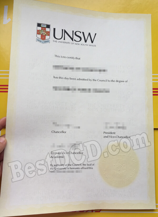 UNSW fake degree