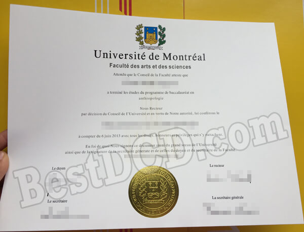 Université de Montréal fake degree
