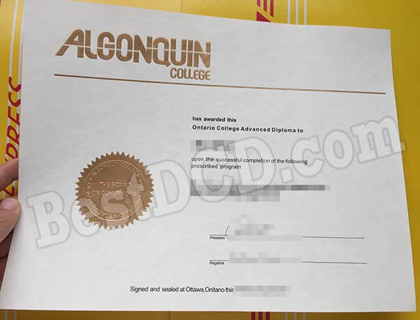 Algonquin College fake diploma
