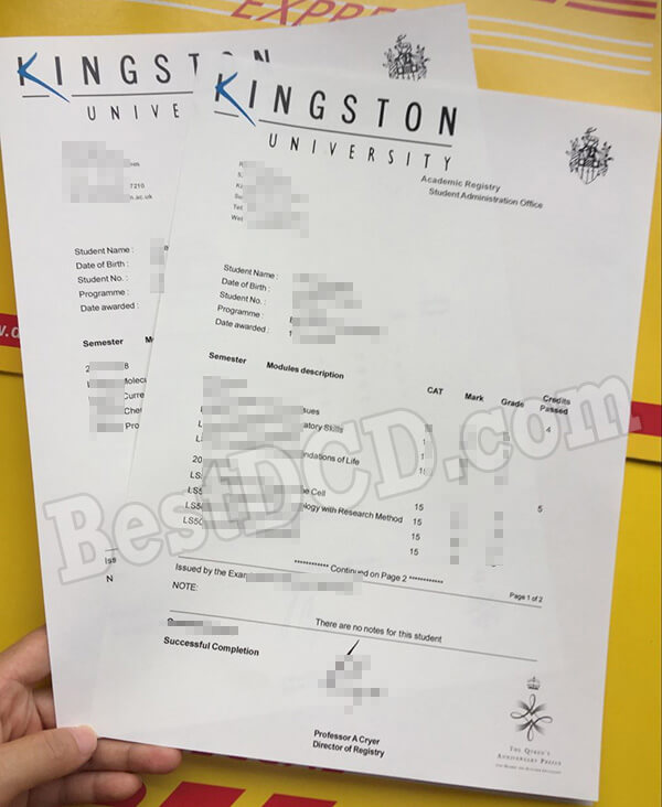 Kingston fake transcript