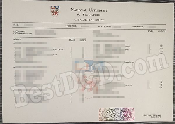 NUS fake transcript