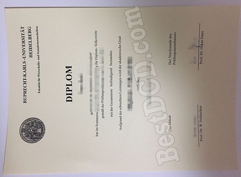 Heidelberg University fake diploma