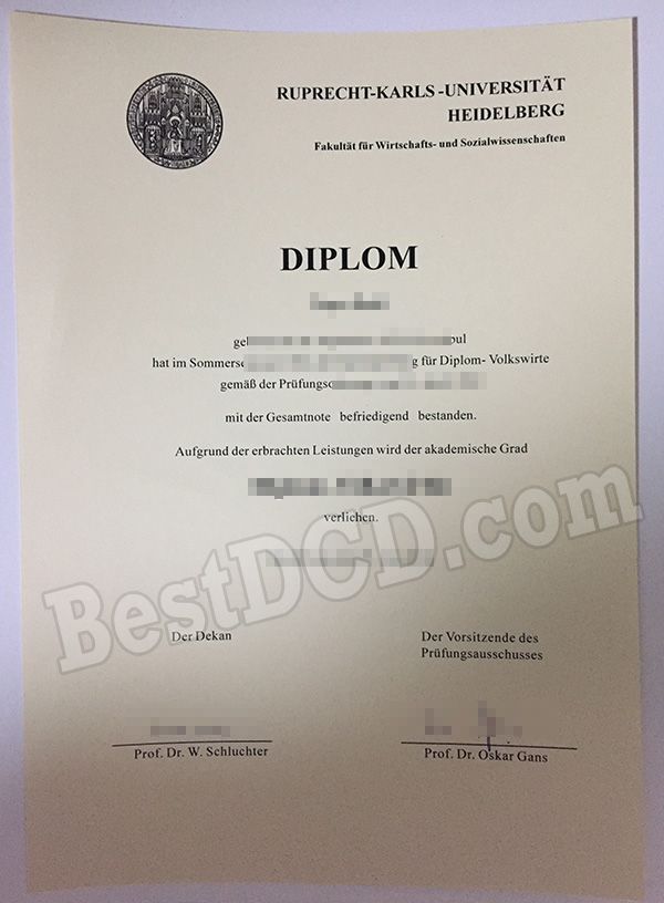 Heidelberg University fake diploma