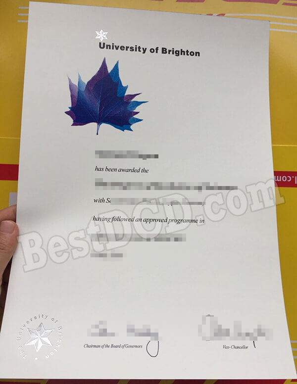 University of Brighton fake degree