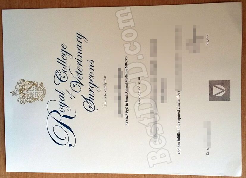 RCVS fake certificate