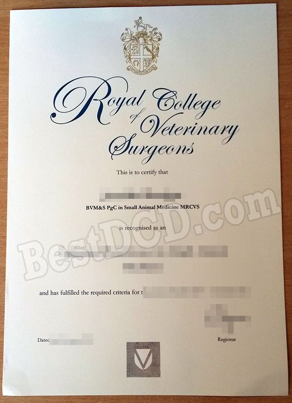RCVS fake certificate