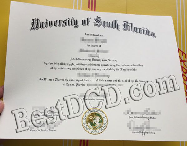 USF fake degree
