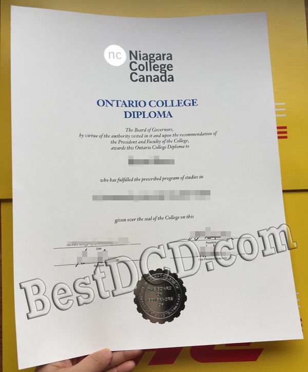 Niagara College fake diploma
