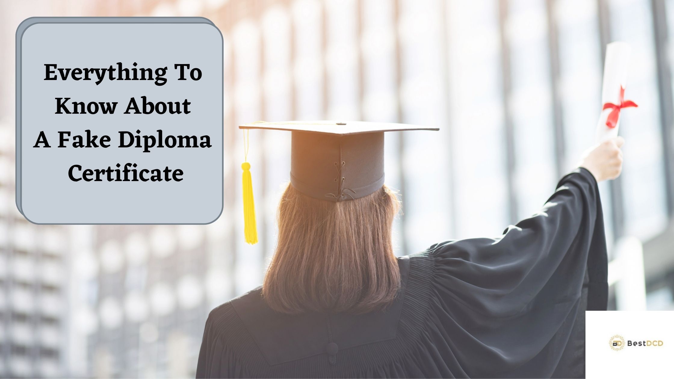 Everything To Know About A Fake Diploma Certificate