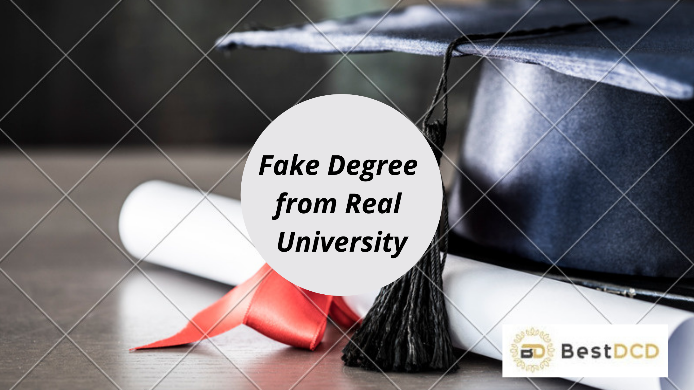 Fake Degree from Real University