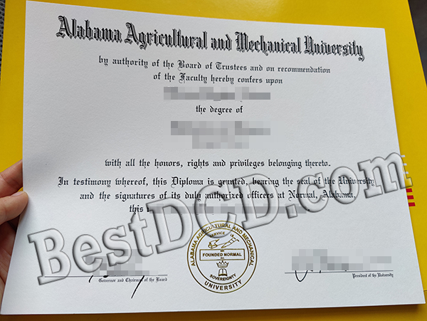 Alabama A&M University degree