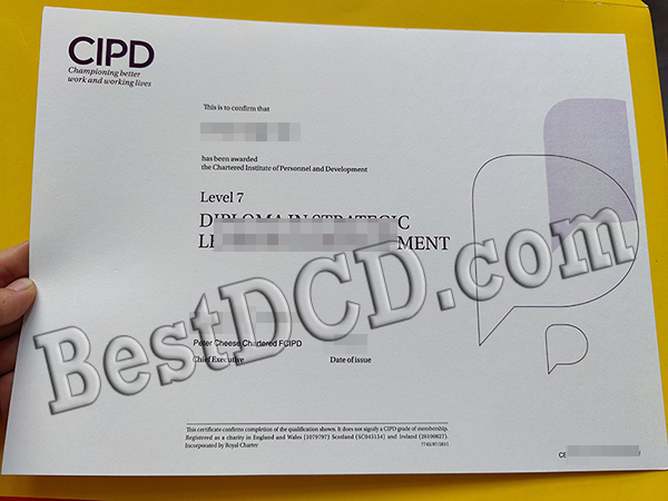 CIPD diploma