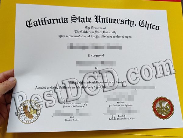 California State University, Chico degree