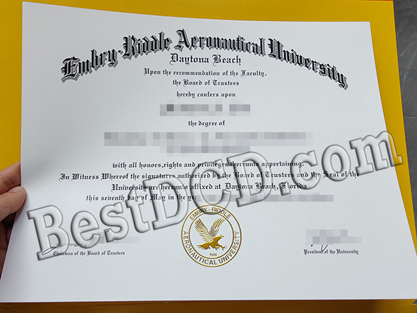 Embry-Riddle Aeronautical University degree