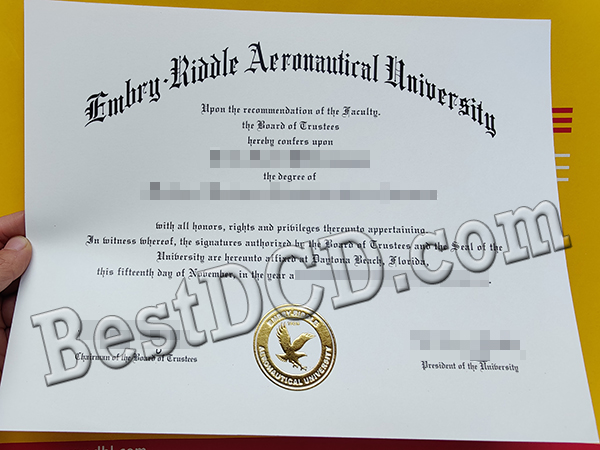 Embry-Riddle Aeronautical University degree