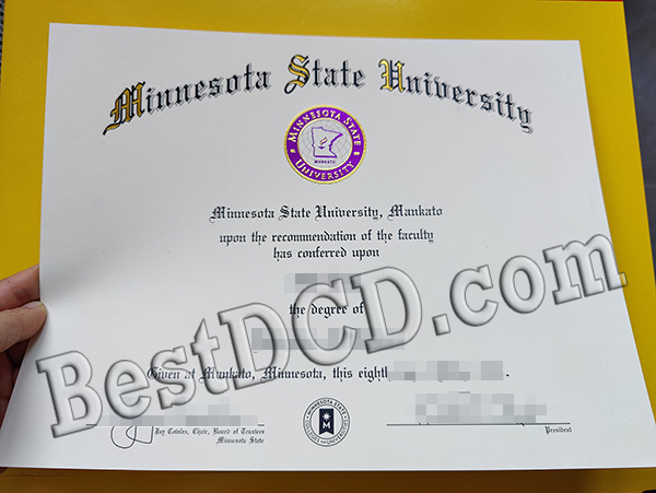 Minnesota State University degree