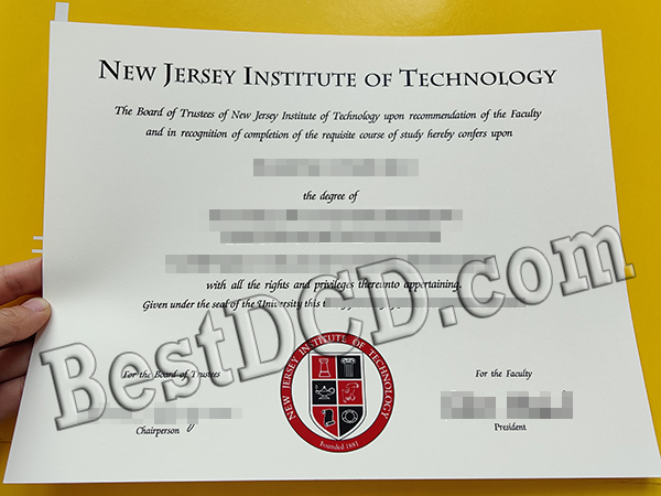 New Jersey Institute of Technology degree