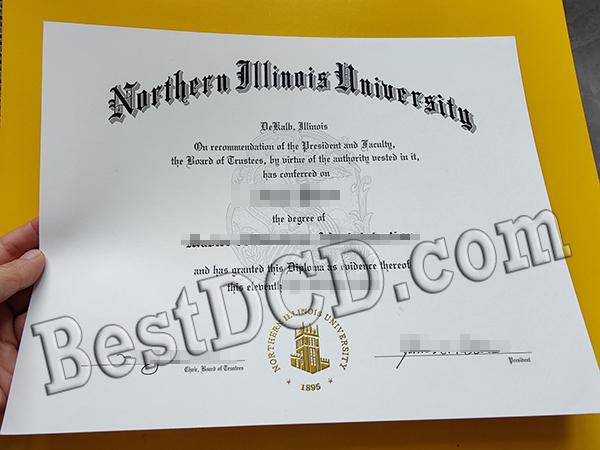 Northern Illinois University degree