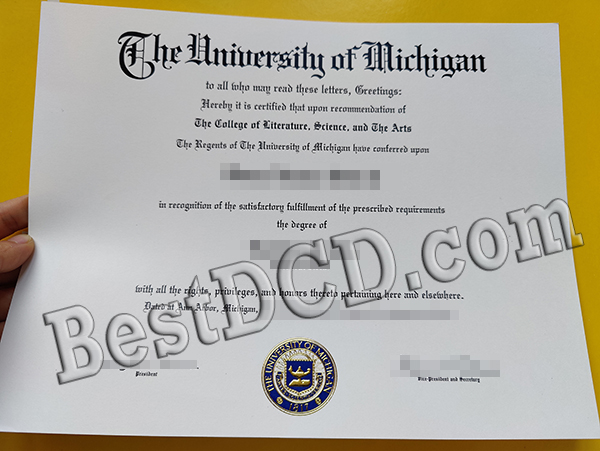 The University of Michigan degree
