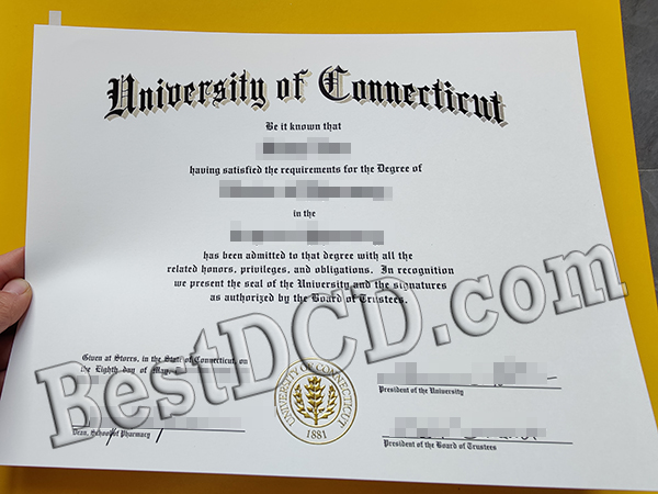 University of Connecticut degree