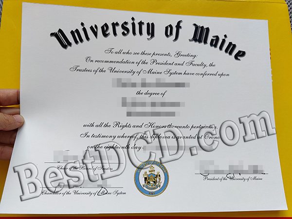 University of Maine degree