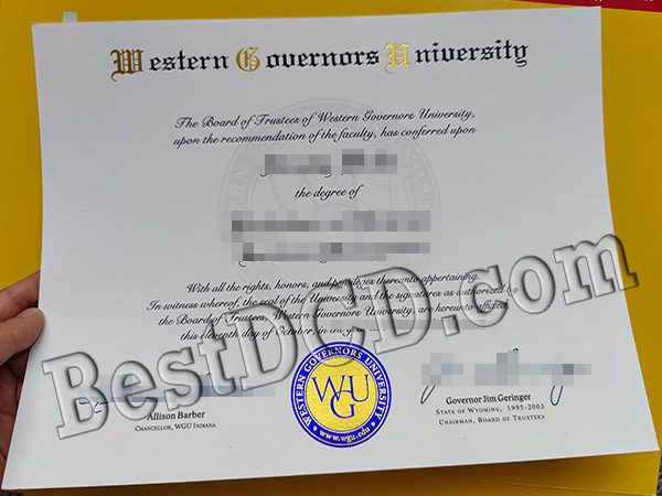 WGU Degree