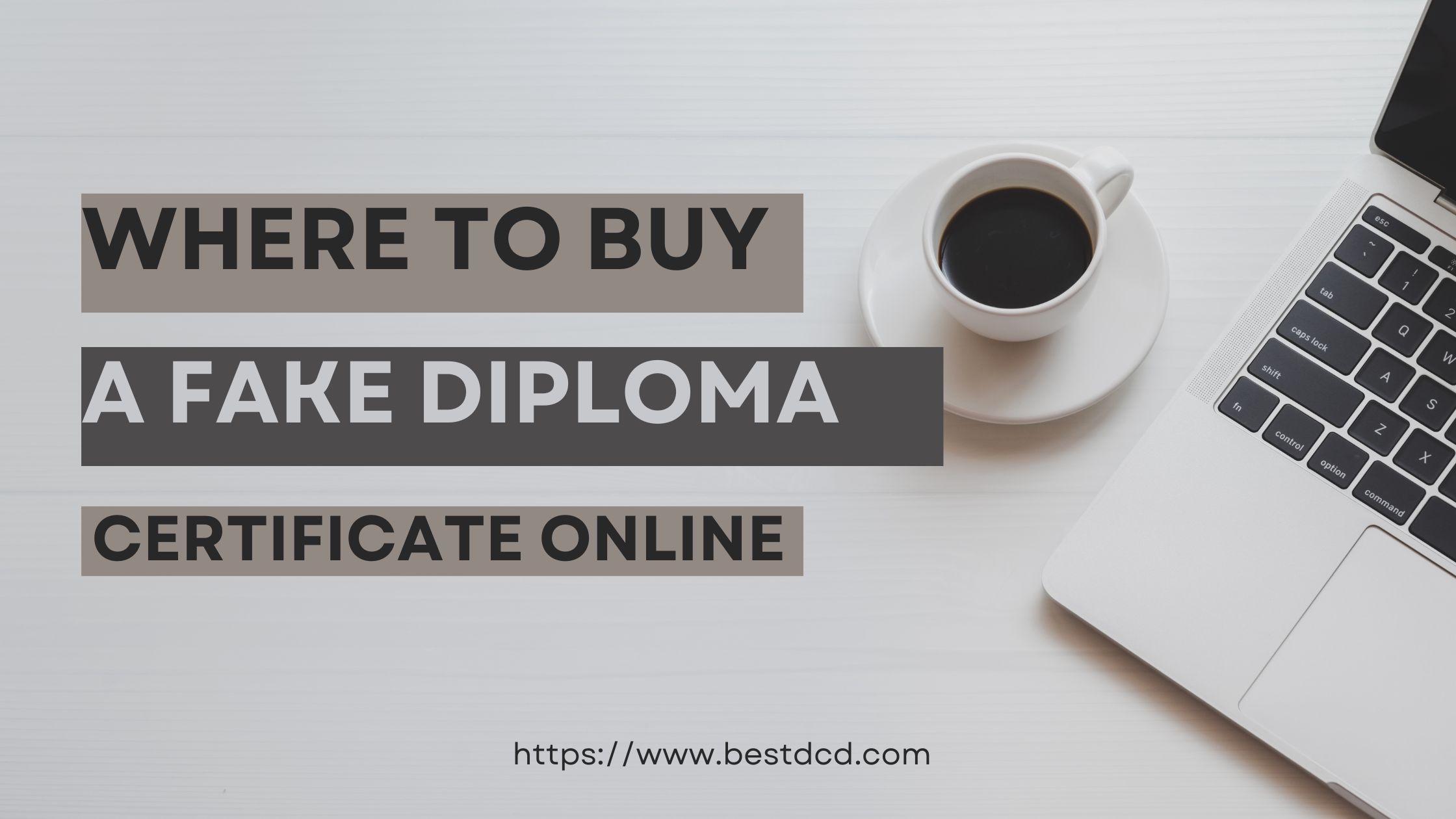 Where to Buy a Fake Diploma Certificate Online