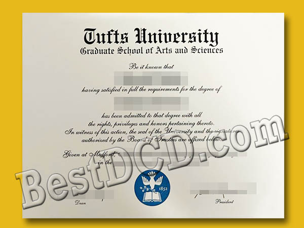 Tufts University Degree
