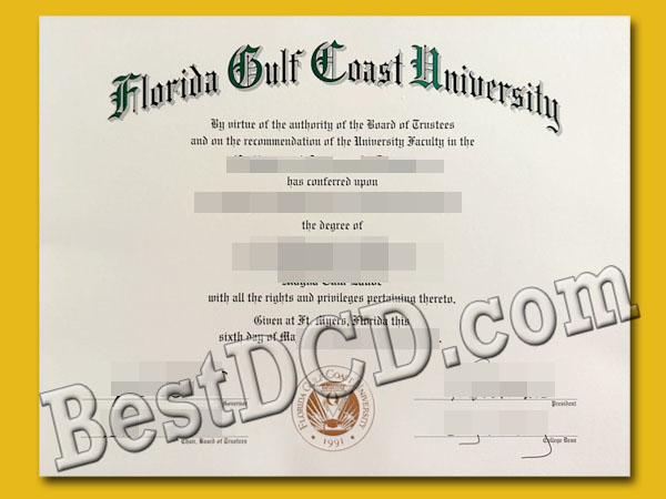 Florida Gulf Coast University degree