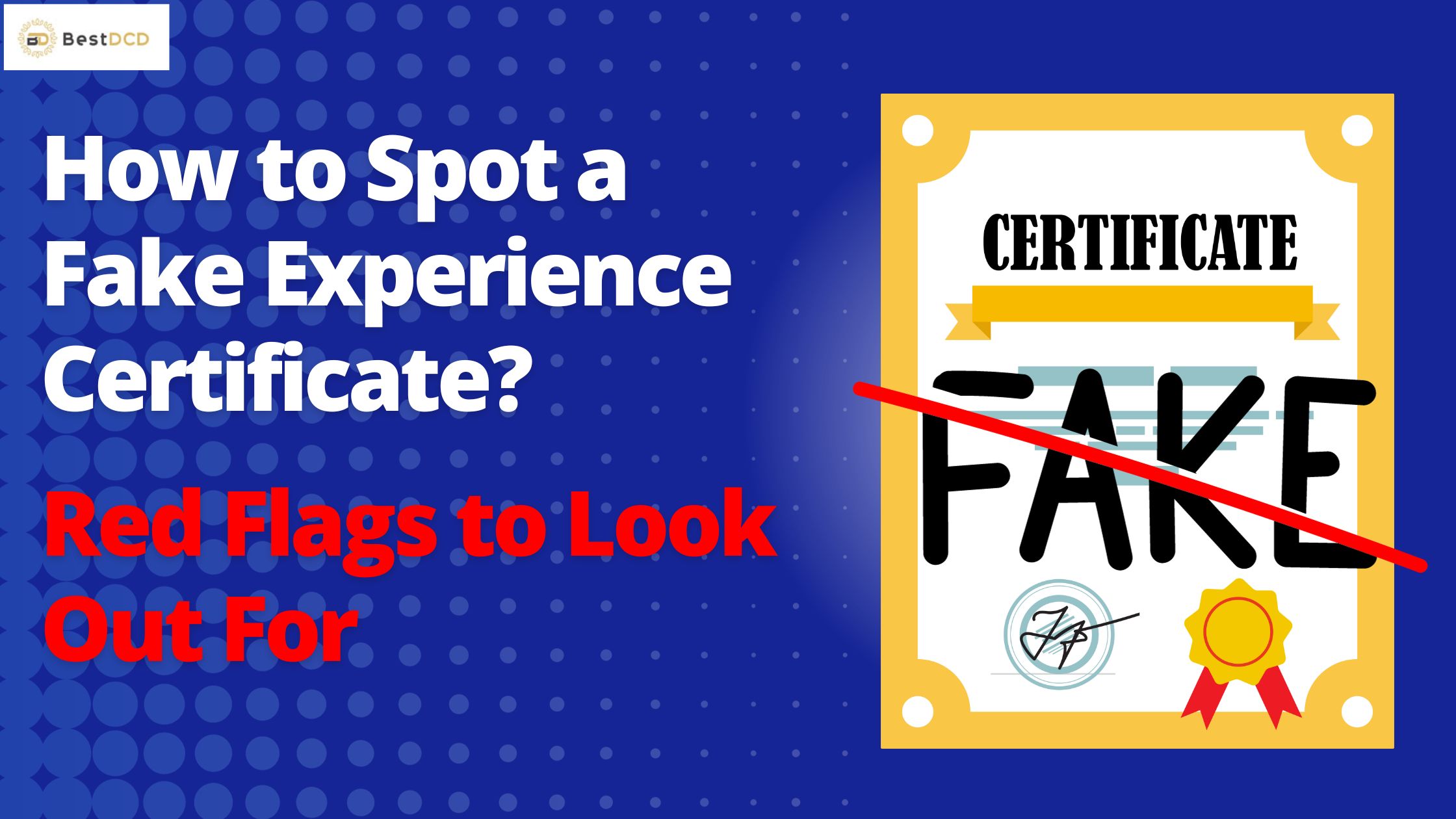 fake experience certificates