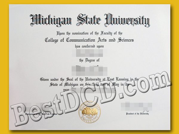 michigan state university degree