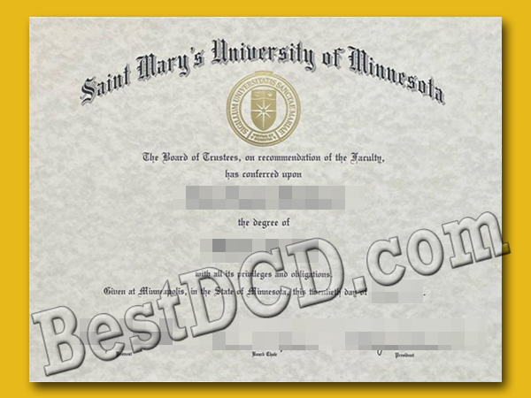 saint mary's university of minnesota degree